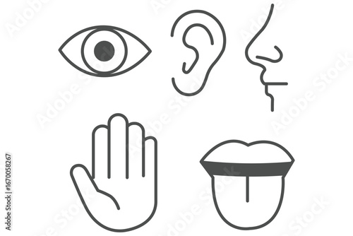 Human senses icon set. Vision eye, smell nose, hearing ear, touch hand, taste mouth with tongue.  Five senses of human nervous system. Five human senses icons. Vision smell hearing touch taste senses 