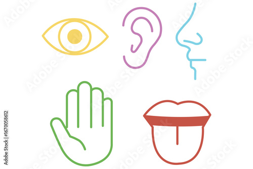 Human senses icon set. Vision eye, smell nose, hearing ear, touch hand, taste mouth with tongue.  Five senses of human nervous system. Five human senses icons. Vision smell hearing touch taste senses 