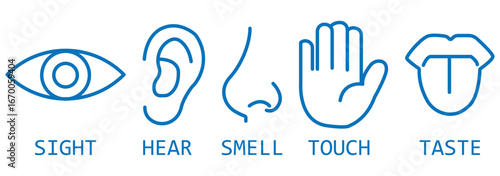 Five human senses editable stroke outline icons set. Flat vector illustration of human senses including ear, eye, nose, lips, and hand in minimalist design style. Five senses of human nervous system.