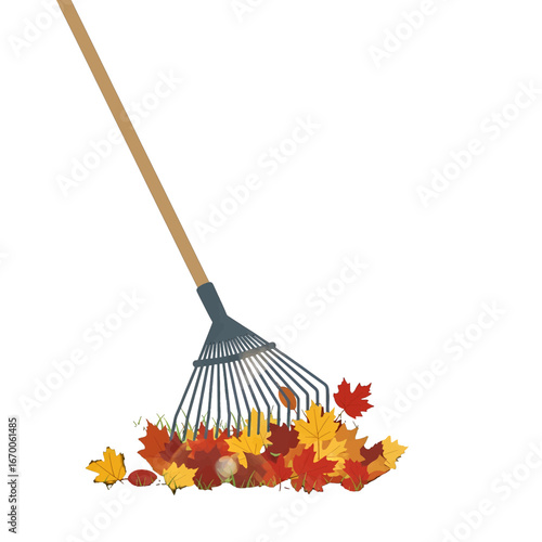 Rake Gathering Pile of Vivid Autumn Leaves on White Background for Yard Cleanup
