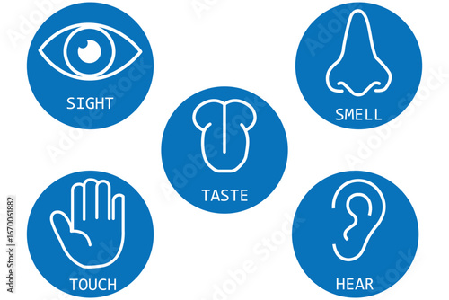 Five human senses editable stroke outline icons set. Five Senses line icons Five senses icon, representing the senses: eye (sight), nose (smell), ear (hearing), tongue (taste), and hand (touch) - idea