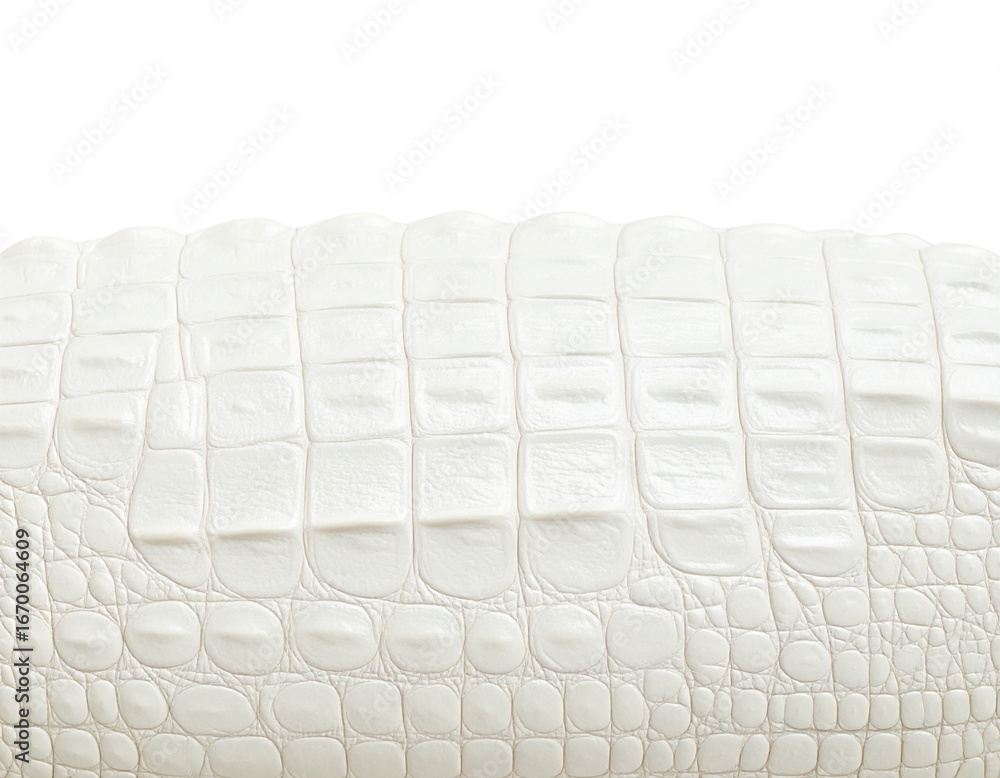 Fototapeta premium Seamless white crocodile leather texture