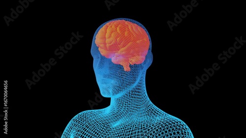 Brain of a human showing firing neurons in a wireframe rotating head - 3D illustration