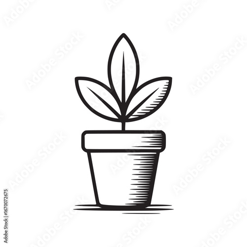 A simple black and white line drawing of a small plant in a pot with three leaves on a white background