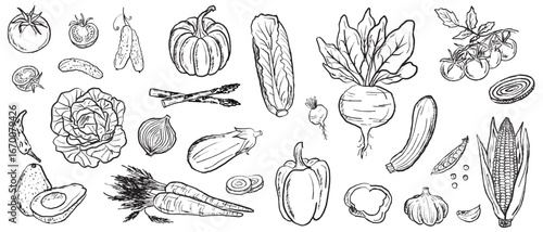 Vegetable set with tomato, cabbage, salad, carrot, avocado, corn, beet, bell pepper in black brush stroke texture isolated on white. Hand drawn vector sketch illustration in vintage charcoal ink