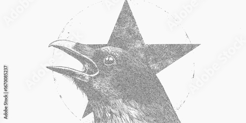 Raven on the background of a star. Simple threshold silhouette with gritty overlay, subtle dust and retro paper texture.