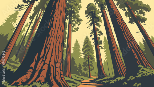 Pathway Through a Majestic Redwood Forest Tall Trees Nature Illustration Vintage Style Poster Forest Scene Woodland Path.