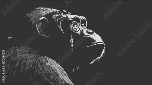 Stylized ape portrait monochrome primate illustration dark background wildlife art animal graphic zoology design vector illustration ape head close-up great ape image black and white animal art prima.