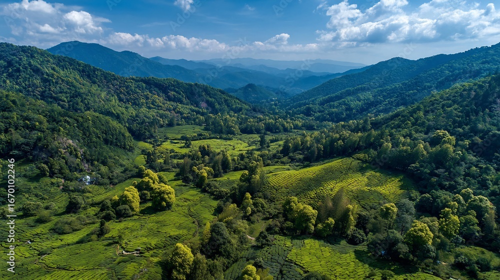 Naklejka premium Lush green valley nestled between forested mountains under a partly cloudy sky