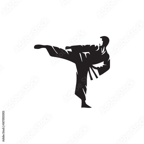 vector illustration of a karate trainer