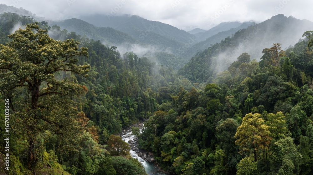 Obraz premium Lush, green valley vista with river, mountains, and mist in a cloudy, forest
