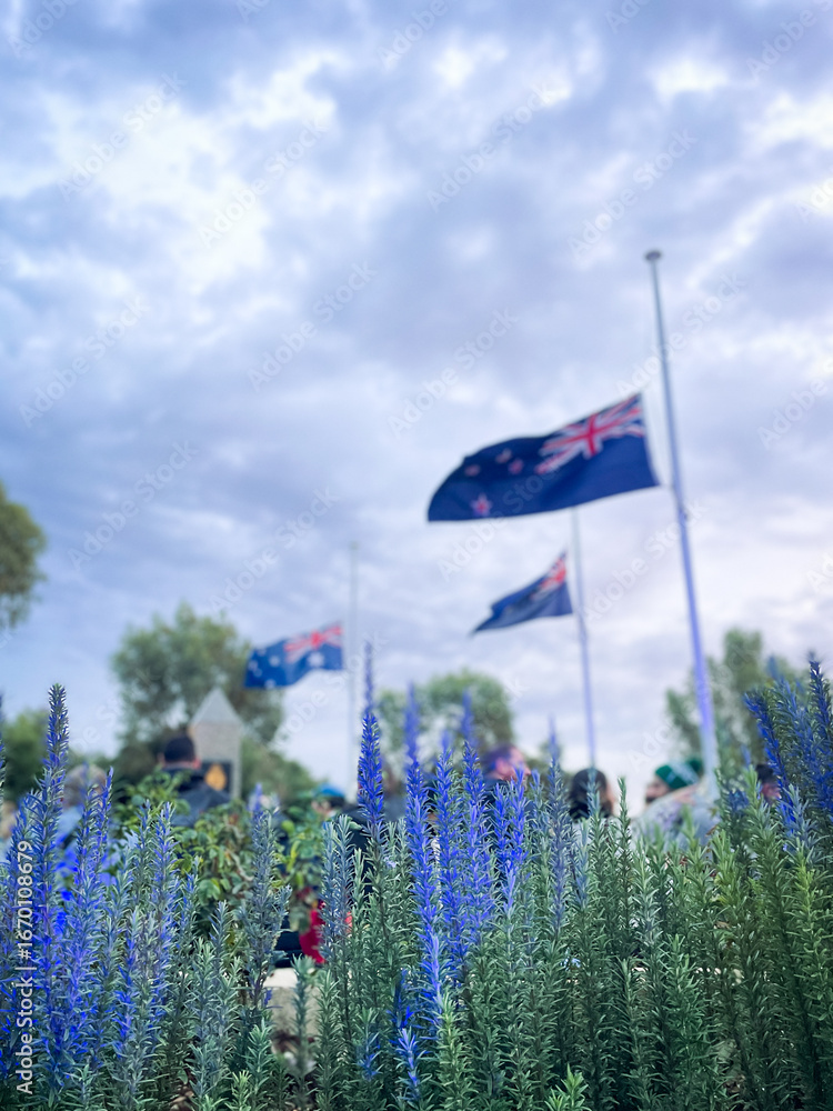 Australian flag flying at half mast with flowering lavender in foreground and overcast morning sky