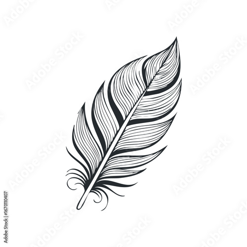 Bird feather silhouette, black feather vector illustration
