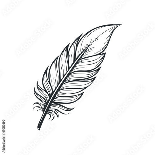 Bird feather silhouette, black feather vector illustration
