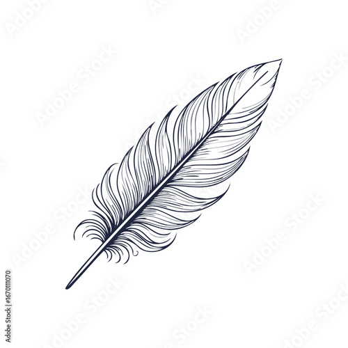 Bird feather silhouette, black feather vector illustration
