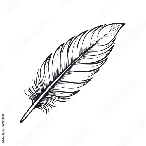 Bird feather silhouette, black feather vector illustration
