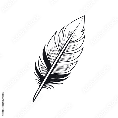 Bird feather silhouette, black feather vector illustration
