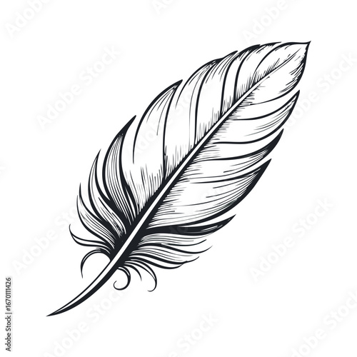 Bird feather silhouette, black feather vector illustration
