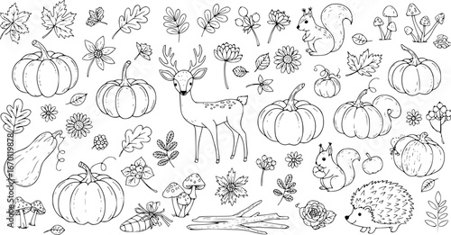 Autumn harvest collection of fall season decorative design elements with cute forest animals and plants
