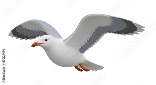 Isolated Seagull Flying