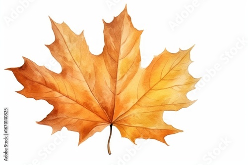 Wallpaper Mural Maple leaves autumn plant. Torontodigital.ca