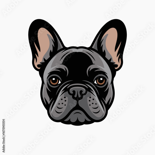 Close up portrait of a black french bulldog s face