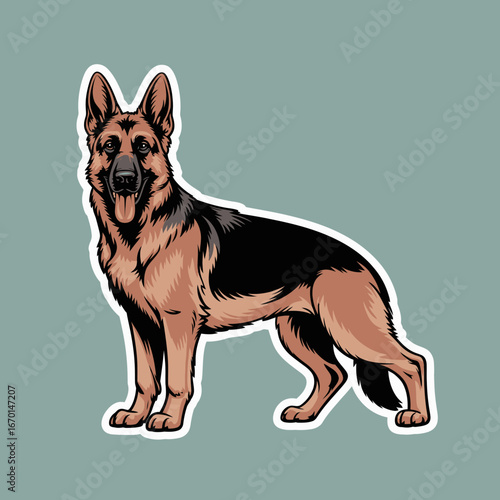 Alert german shepherd dog standing proudly