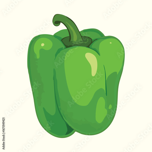 Green bell pepper vector illustration isolated on white background