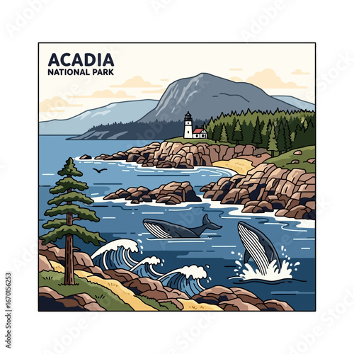 acadia national park illustration of whales breaching on the maine coast near a lighthouse and mountains ideal for travel and conservation campaigns