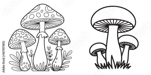 mushroom outline coloring book page line art	
