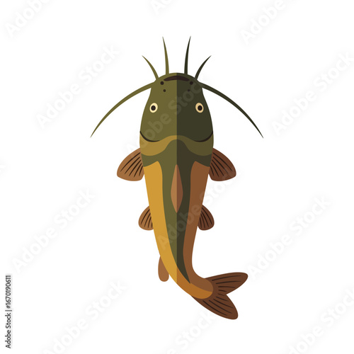 Flathead catfish illustration freshwater fish viewed from above a graphic vector for fishing designs promoting angling tournaments or conservation efforts.