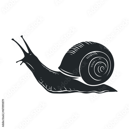 Detailed black and white illustration of a snail in side profile