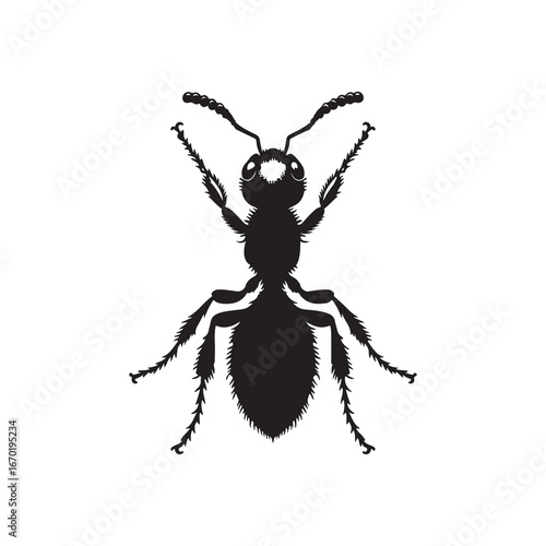 Worker Ant Vector Silhouette, Nature Graphic
