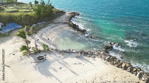 4K Aerial Drone Footage of Bermuda Beach with Palm Tree, Sand and Ocean