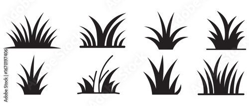 Set of grass silhouette icons with different styles. Black lawn grass icon vector design template. Landscape design and nature graphics. Vector illustration. 
