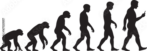 Evolution