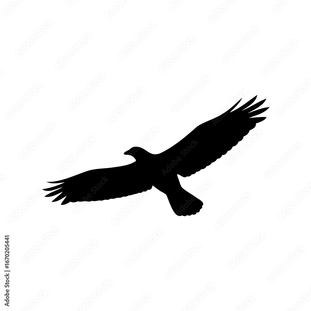 Obraz premium A striking silhouette of a bird of prey soaring through the sky