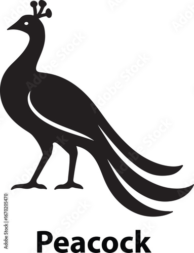 Elegant peacock illustration with vibrant plumage and intricate details