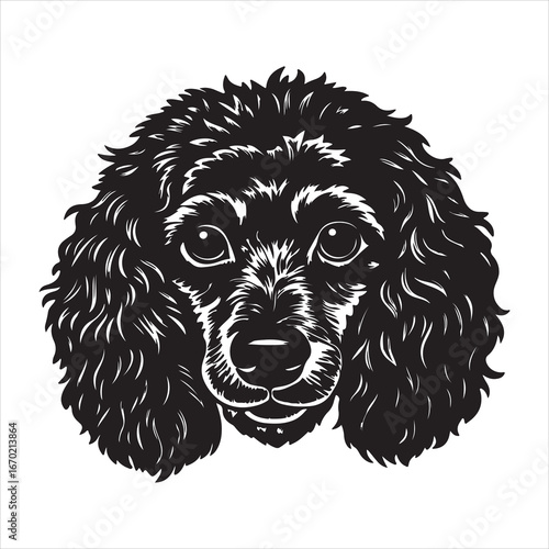 A Dapper Portrait of a Poodle, an Intelligent and Elegant Breed with a Hypoallergenic, Curly Coat and a Playful Demeanor