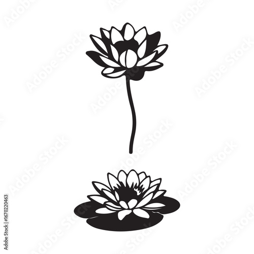 Water Lilies Elegant vector Illustration