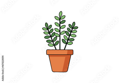 A potted plant with green leaves in a terracotta pot.