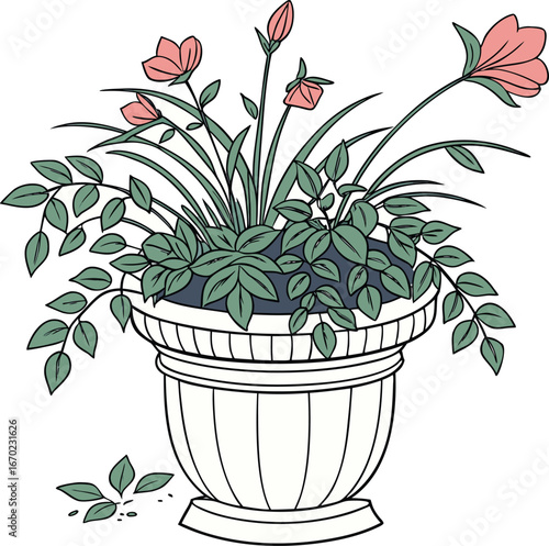 Minimalist Illustration of Potted Plants on a White Background – Botanical Indoor Plant Art for Wall Decor and Digital Use