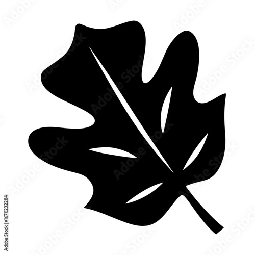 Silhouetted Maple leaf with strong central stem and defined lobes design
