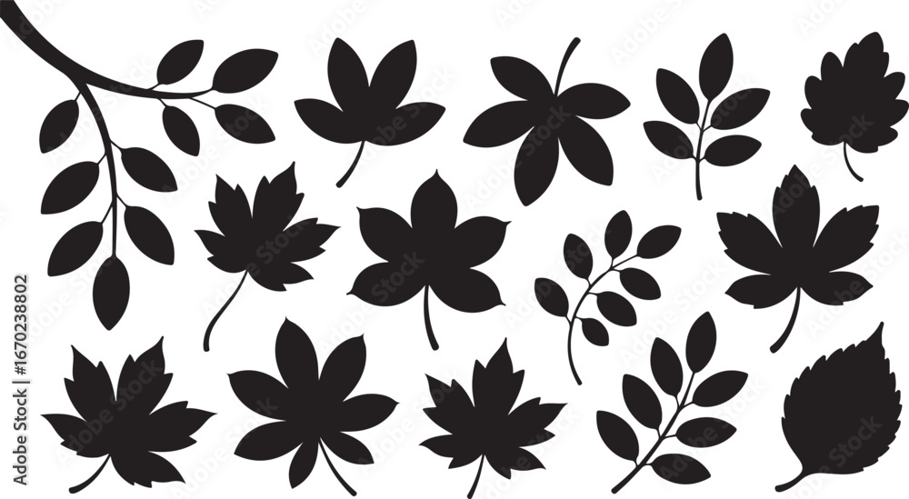 Obraz premium Vector set of decorative autumn leaf silhouettes