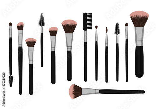 Makeup brushes arrayed against white backdrop various sizes  styles