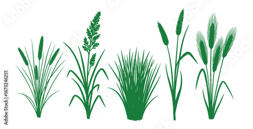 Green Grass Clumps Collection, Plants Foliage Isolated on White Background, Meadow and Field Grasses, Vector Illustration