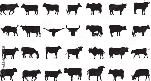 cow, cattle, bovine, livestock, farm animal, silhouette, black and white, animal, mammal, herd, agriculture, ranch, dairy, beef, grazing, standing, walking, lying down, calf, bull, cow with calf, long