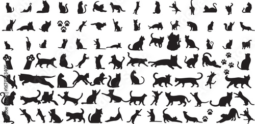 cat, silhouette, animal, pet, feline, domestic cat, kitten, playful, sleeping, stretching, jumping, walking, sitting, standing, hunting, curious, alert, elegant, graceful, playful cat, sleeping cat, s