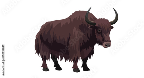 Majestic Yak High Resolution Stock Photo of a Wild Himalayan Animal