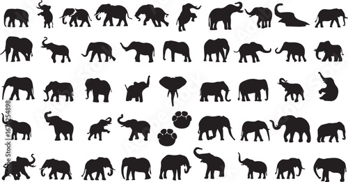 elephant, mammal, animal, silhouette, wildlife, nature, pachyderm, trunk, tusks, large, heavy, standing, walking, running, trumpeting, baby elephant, mother and baby, paw print, track, wild, black and